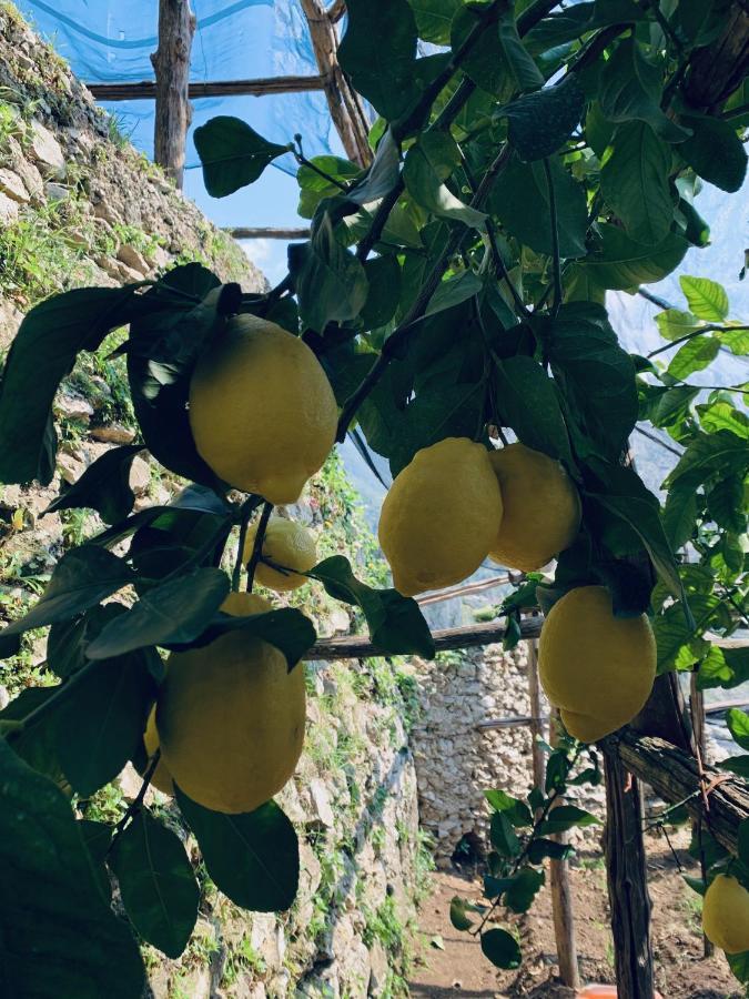 Il Giardino Dorato Villa Майори Екстериор снимка